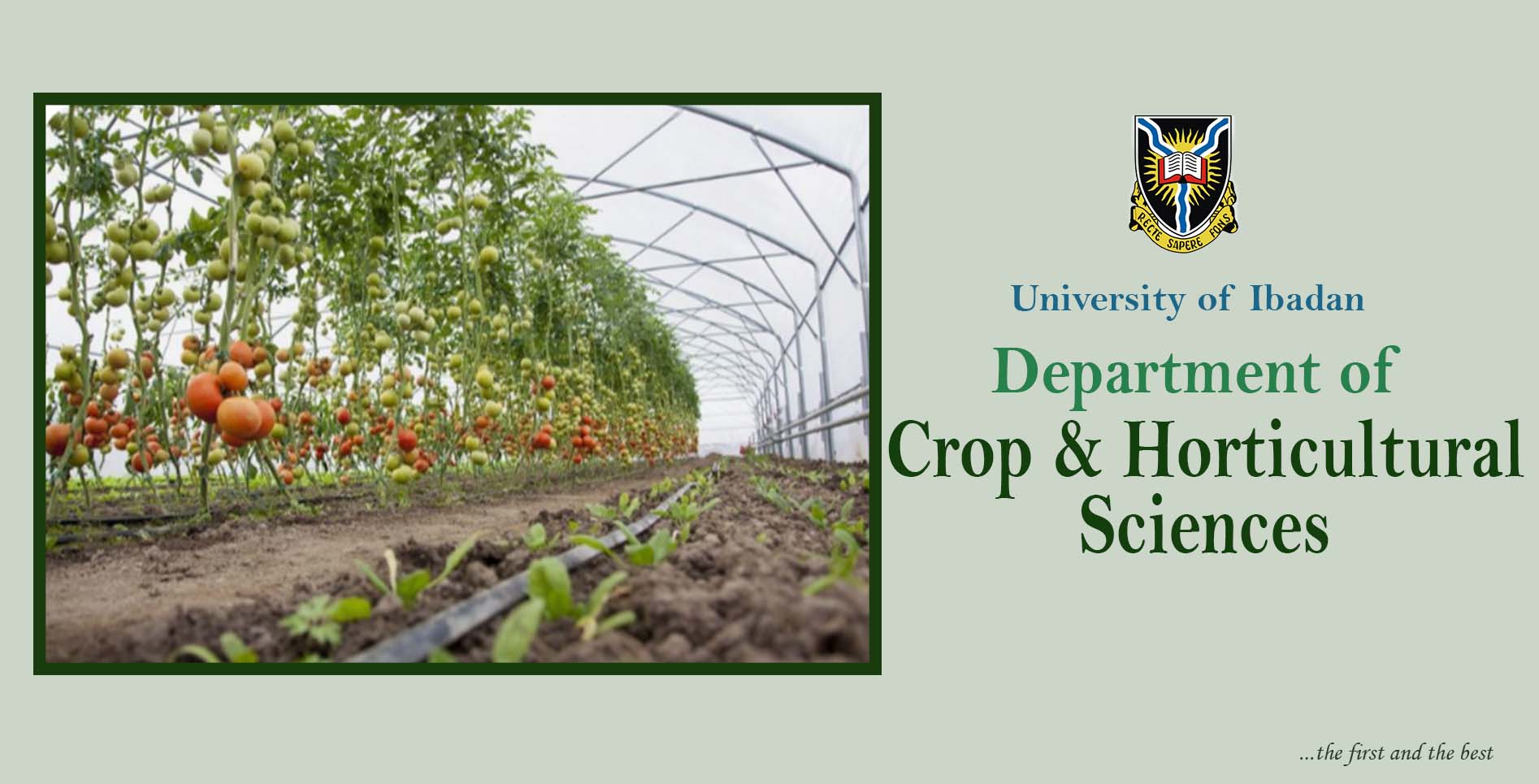 Crop And Horticultural Sciences | FACULTY OF AGRICULTURE